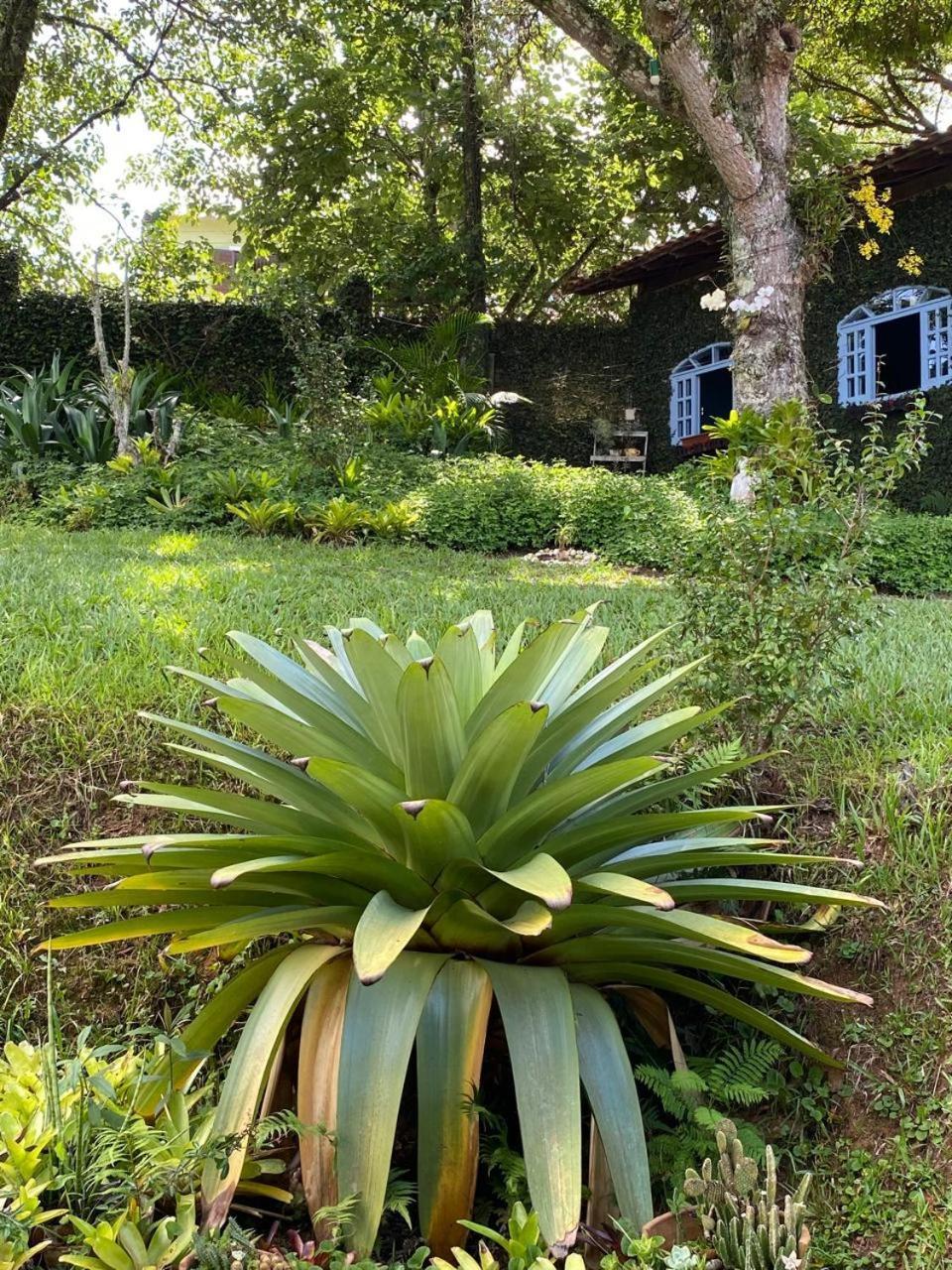 Pousada Casa Do Ipe Amarelo Miguel Pereira Exteriér fotografie