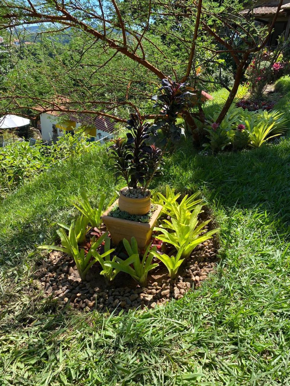 Pousada Casa Do Ipe Amarelo Miguel Pereira Exteriér fotografie