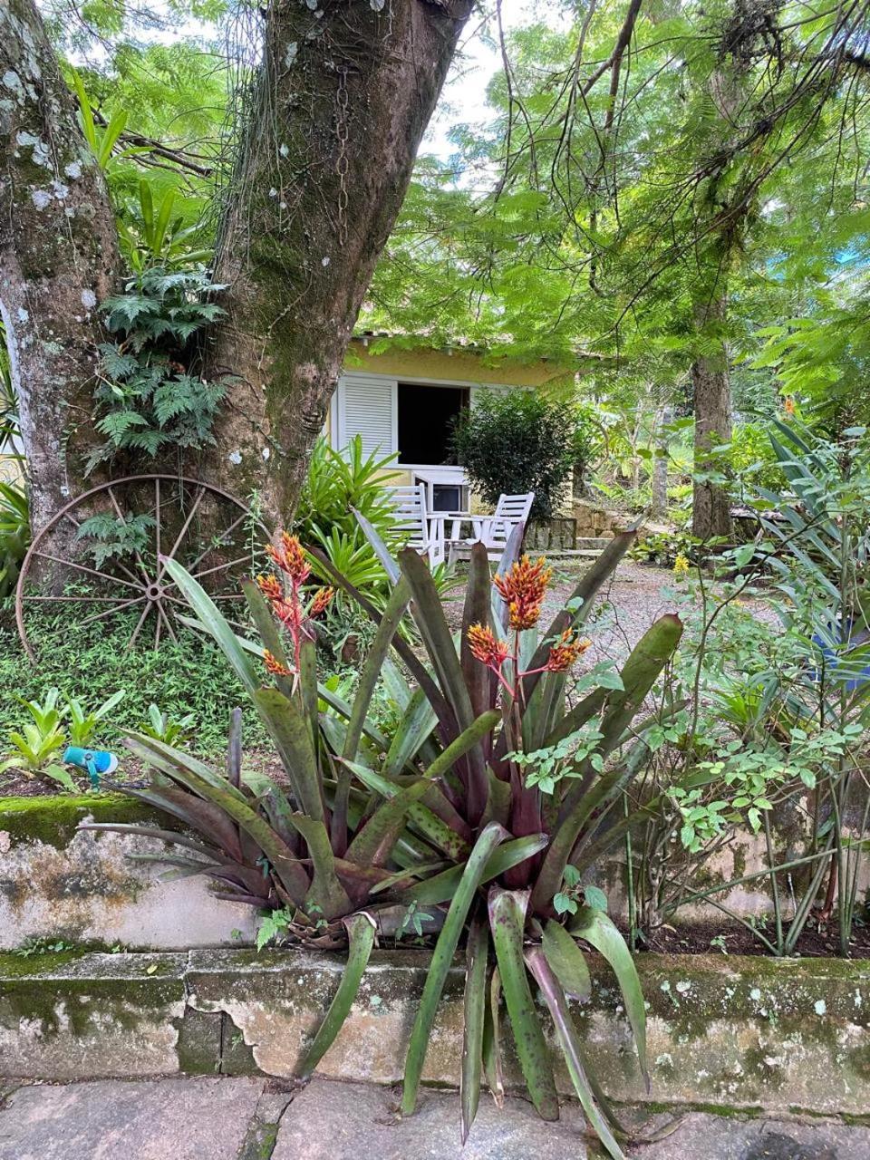 Pousada Casa Do Ipe Amarelo Miguel Pereira Exteriér fotografie