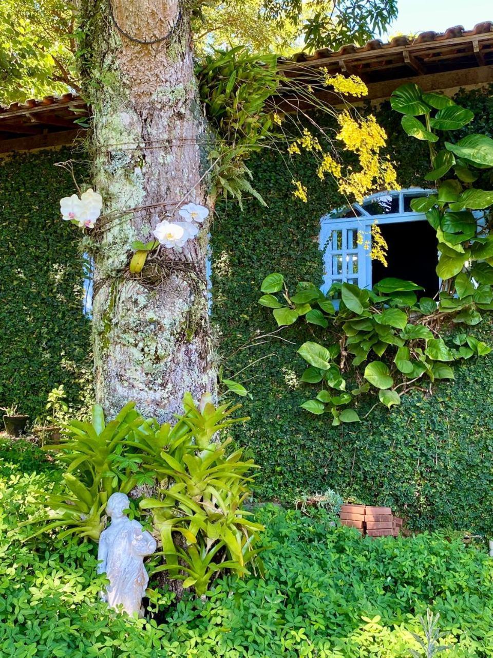 Pousada Casa Do Ipe Amarelo Miguel Pereira Exteriér fotografie